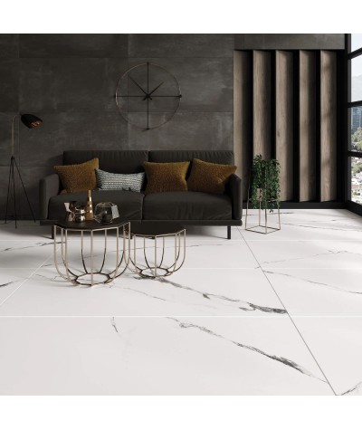 Carrelage sol RIOLA 60x60 cm aspect marbre mat